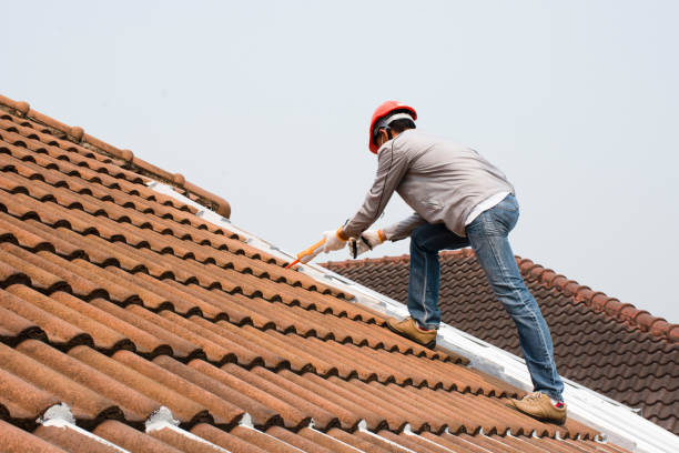 Best Roof Installation  in Viera West, FL