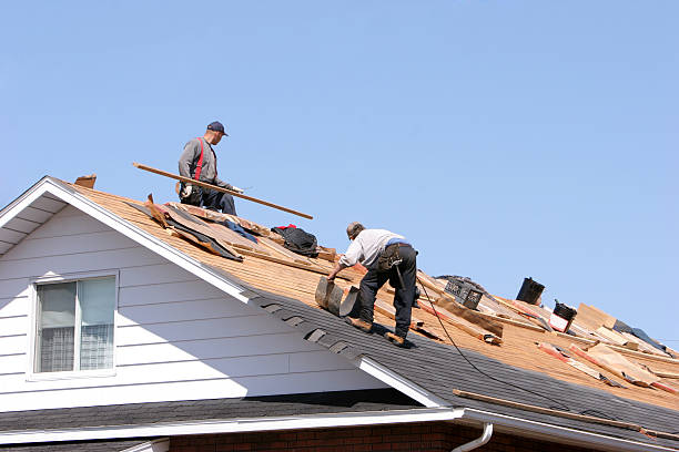 Best Metal Roofing Installation  in Viera West, FL